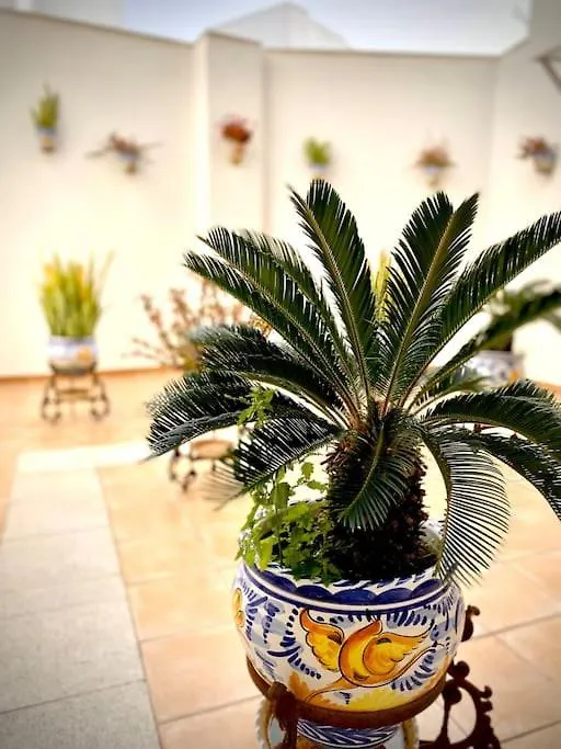 Apartmán Mychoice Casa Lilia Rota
